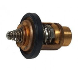 Suzuki 4-6HP 17670-91J11...